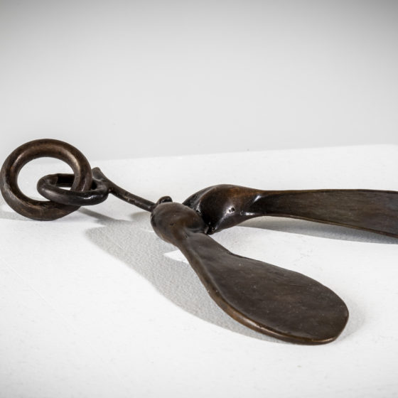 Talismans - Sycamore seed bronze sculpture by Fiona Garlick